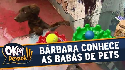 Tải video: Bárbara Koboldt conhece o trabalho das babás de pets