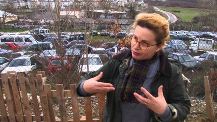 Receta e Ditës - Recetat e shpejta dhe mbjellja e fruta-perimeve