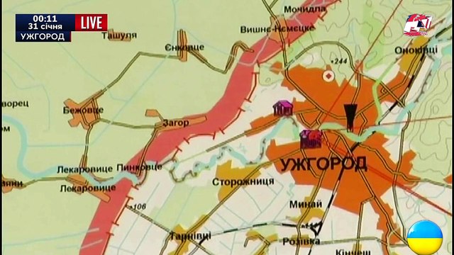 Загрязнение реки Закарпатье, Загрязнение леса Коломыйский район1