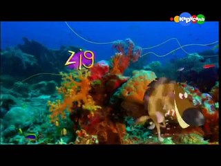 Zig.i.Sharko.(1.sezon.69.seriya.iz.78).2010 2011.X(23)