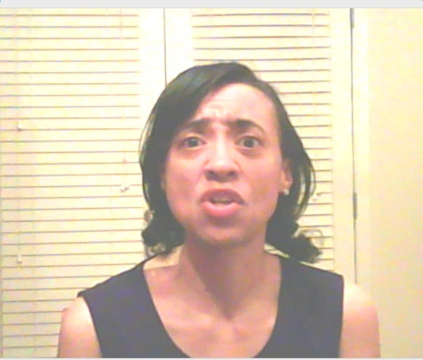 About this Video Blog