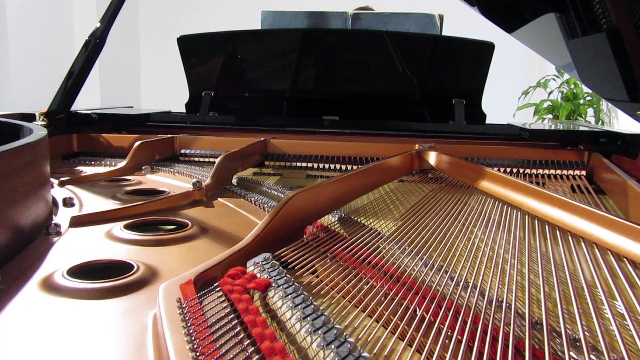 Chopin