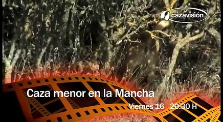 Caza menor en La Mancha: conejos, perdices, liebres y torcaces
