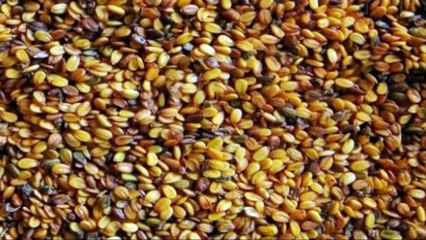 لم أتخيل أبداً فوائد حب الرشاد صيدلية سبحان الله