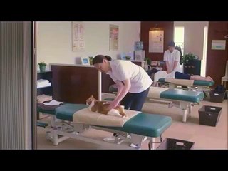 【Y!mobile CM】ふてにゃんマッサージ篇＆にゃんキュッパ篇
