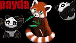 intro for payda panda sorry it sucked lol