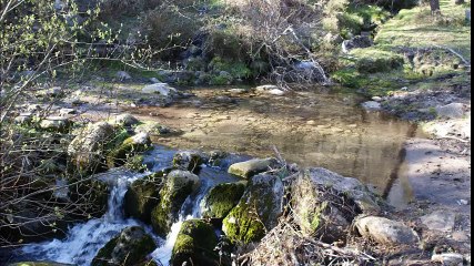 Río do Paxaxe de Paus, Pobra do Caramiñal