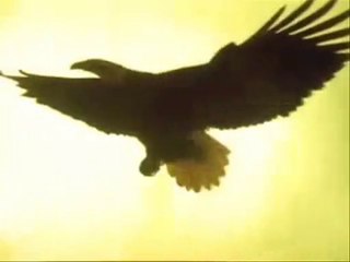 One day a lady will find me...and I will dance with her on that song !