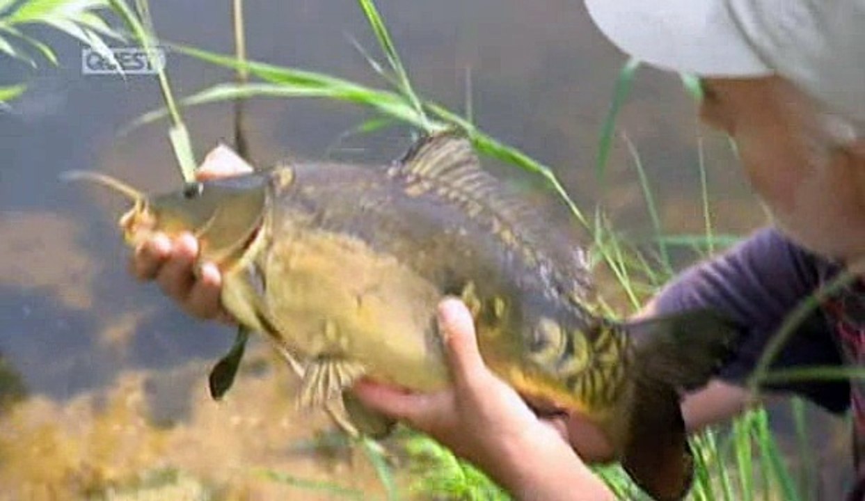 The Greater Rod Race - S01E14 - 02 Days To Go