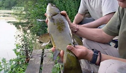 The Greater Rod Race - S01E15 - 01 Hour To Go