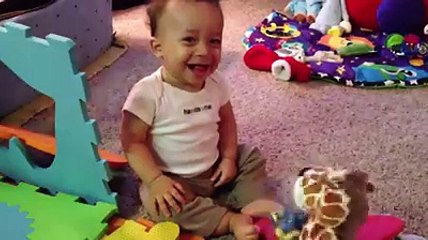 Giggling baby confuses cat-Funny cat Videos