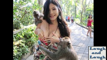 Funny Videos Perfectly Timed Photos Comedy Videos