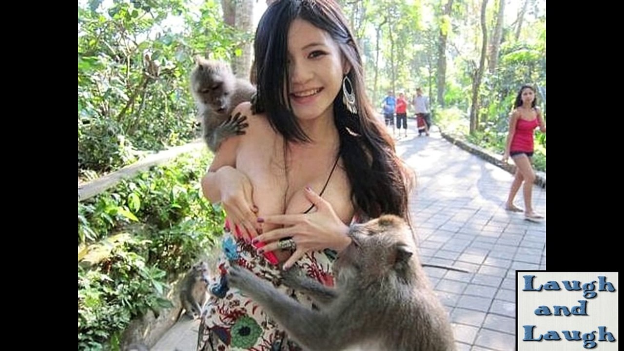Funny Videos Perfectly Timed Photos Comedy Videos