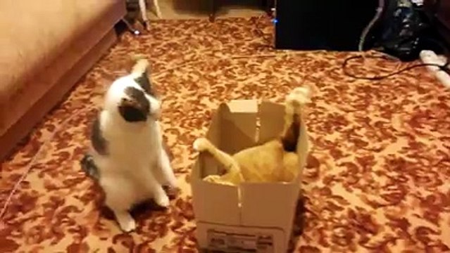 It just takes one second of letting your guard down...