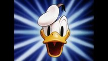 Cartoons For Children  Donald Duck - Duck Pimples