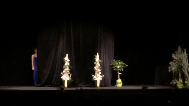 Élection de Miss Manche