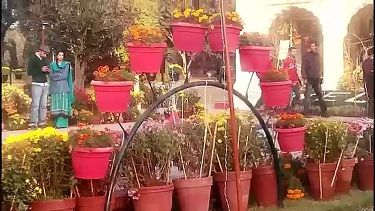 Paki Girls Fun in Bagh e Jinnah Lahore