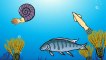 Les Pliosaures - Les reptiles marins 1 - Dessin animé éducatif pour enfants  Dessins Animés En Français
