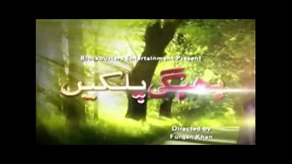 Bheegi Palkein Episode 19 Promo