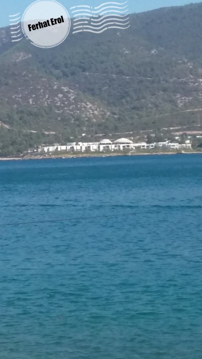 djferhat electro house crazy young