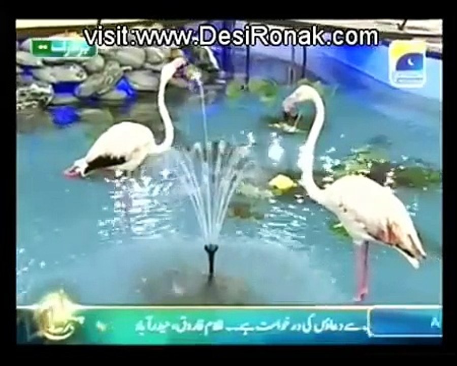 Lo Madine Ki Tajali Se  Ahmed Raza Qadri Pehchan Ramzan 2012