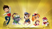 Paw Patrol Finger Family | Cartoon Animation Nursery Rhymes | Children Songs