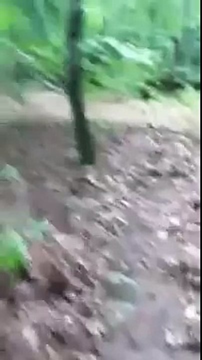 Maryland Bigfoot Stabilized Enhanced