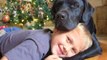 Jedi the Dog Helps His 7-Year-Old “Master” Luke Fight Type-1 Diabetes
