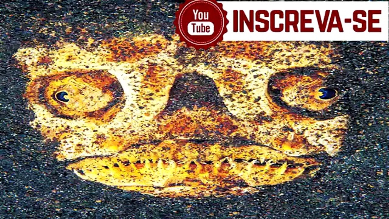 As 20 mais assustadoras criaturas das profundezas