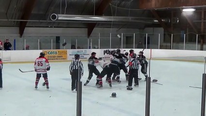 Un entraîneur de hockey frappe l'arbitre - vidéo Dailymotion