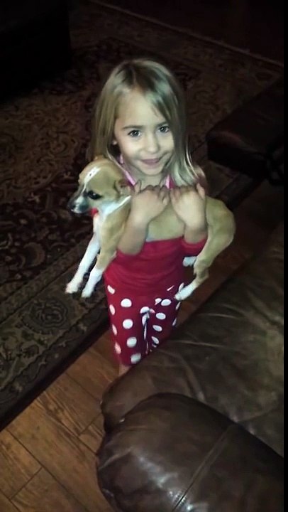 3-year-old girl debates with dad about lost puppy