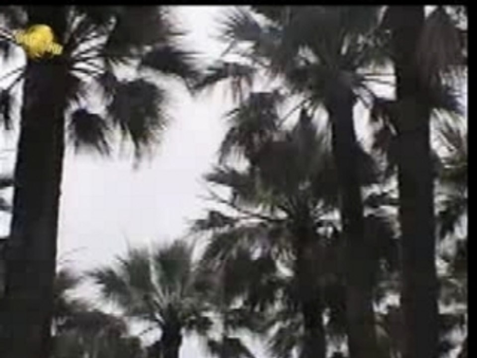 fatwaki:  waday tsa9sa