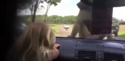 Girl horrified when monkeys share moment on car at Knowsley safari park