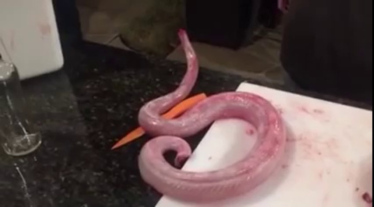 The Slithering Dead - Zombie Snake Is Not Your Dinner Tonight!