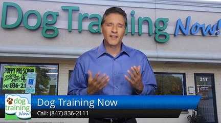 Dog Training Now Schaumburg         Excellent         5 Star Review by Cary M.