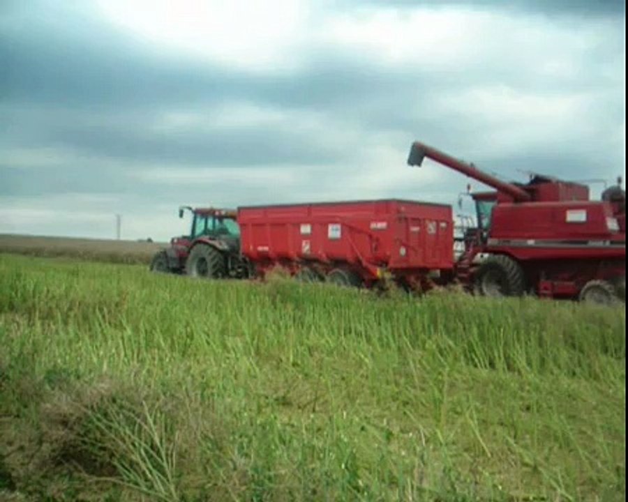 Moisson 2007 avec deux CASE IH Axial Flow 2188 et 2388