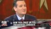 Fox News Chris Wallace destroys Ted Cruz on his Obama care lies