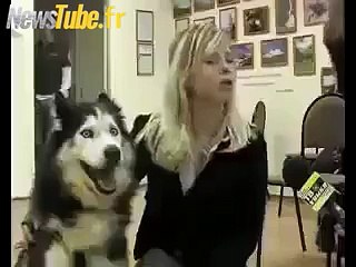 mais qu'est ce qu'il lui arrive a lui lol