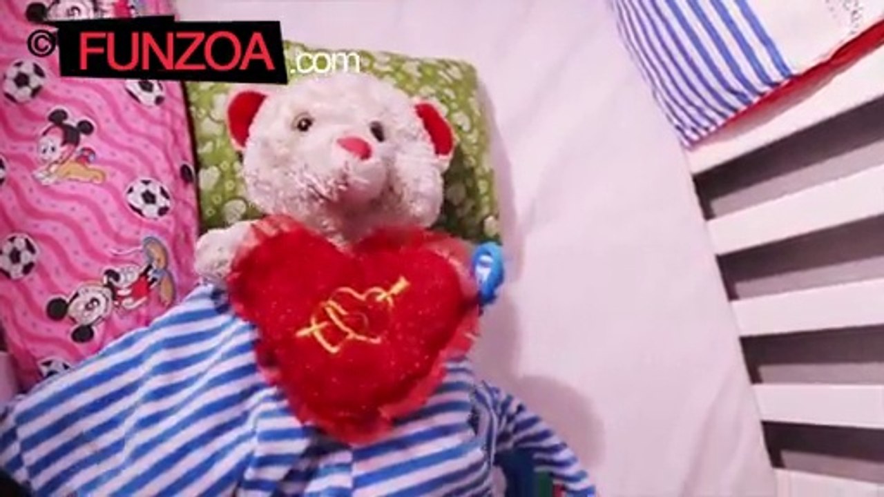cute teddy bear