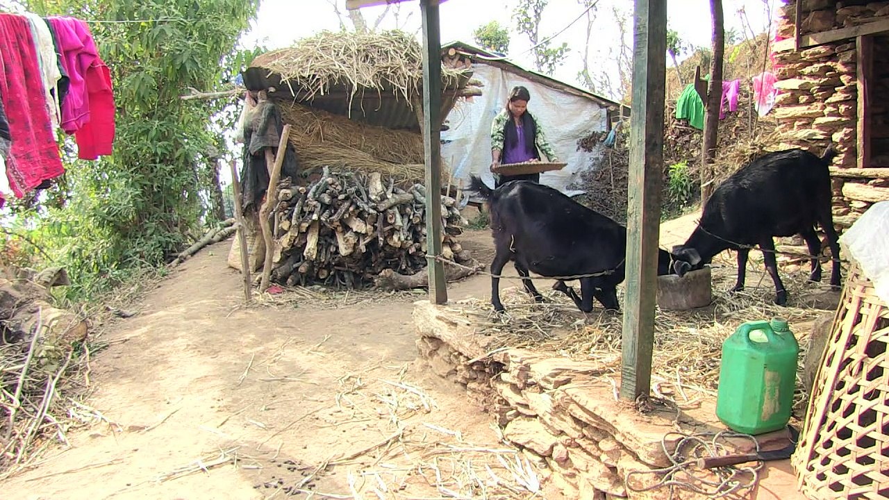 Trafficked Nepali, Bangladeshi women trapped in Syria