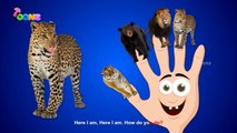 Top Animals Finger Family | Non Stop Animals Finger Family | 120 Minute Finger Family | To