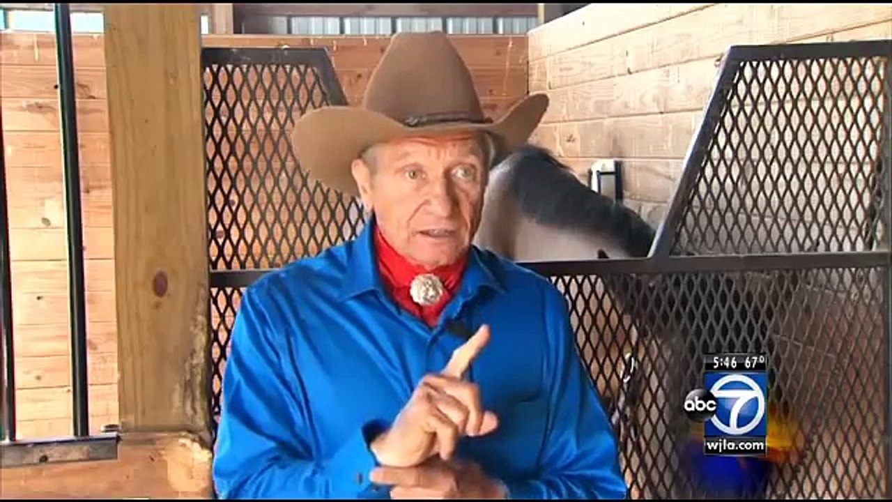 03 Horse whisperer
