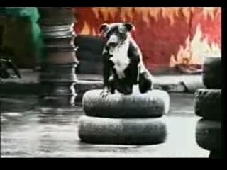 EL GRAN SILENCIO-DUERME SONANDO