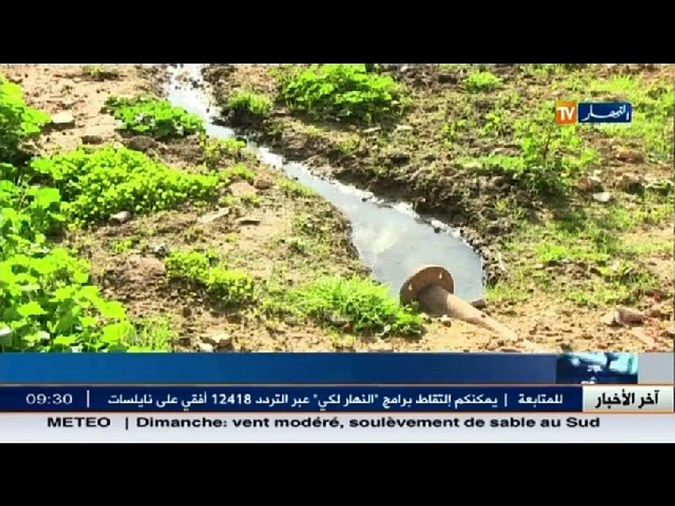الأخبار المحلية /  أخبار الجزائر العميقة ليوم ا...