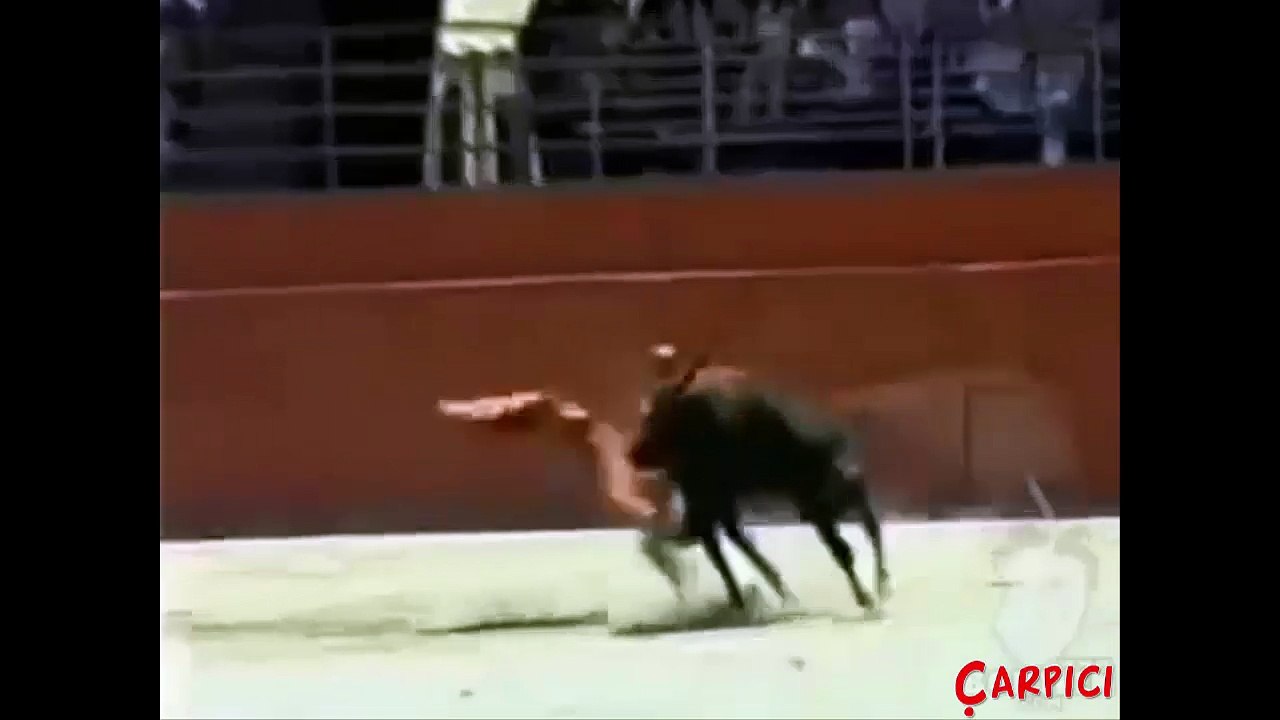 Genç Kadına Azgın Boğanın Tecavüzüne Uğradı