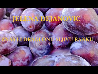JELENA DEJANOVIC- ZNAS LI DRAGI ONU SLJIVU RANKU