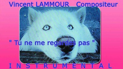 Vincent LAMMOUR  Compositeur Tu ne me regardes pas INSTRUMENTAL