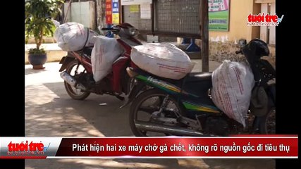 Phát hiện hai xe máy chở gà chết, không rõ nguồn gốc đi tiêu thụ