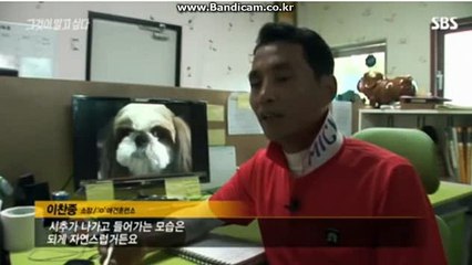 #토토솔루션 임대전문, 토토솔루션 운영방법, 토토솔루션 소스판매 BKSOFT (방문: totobksoft.com)