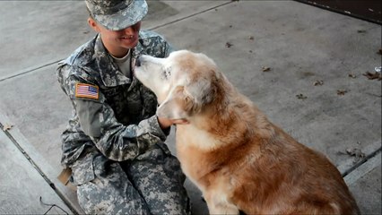Soldier Coming Home; Dog's Reaction